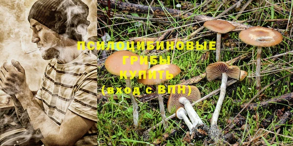 гидра Балахна