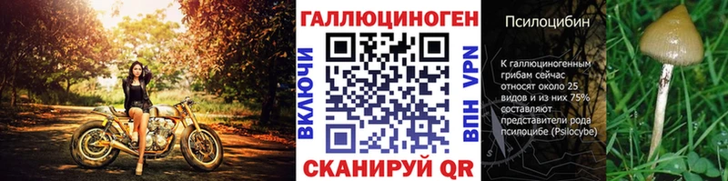 Псилоцибиновые грибы мицелий  дарнет шоп  маркетплейс телеграм  Ясный 
